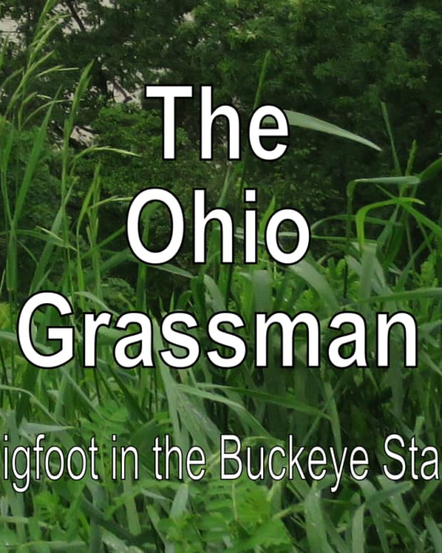 bigfoot-sightings-ohio-grassman
