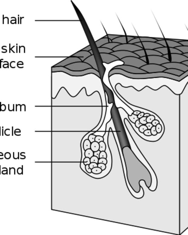 how-to-get-rid-of-blackheads-on-nose-with-easy-hygiene-tips