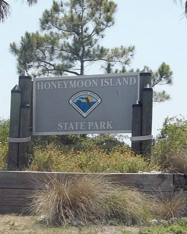 honeymoon-island-state-park-dunedin-florida