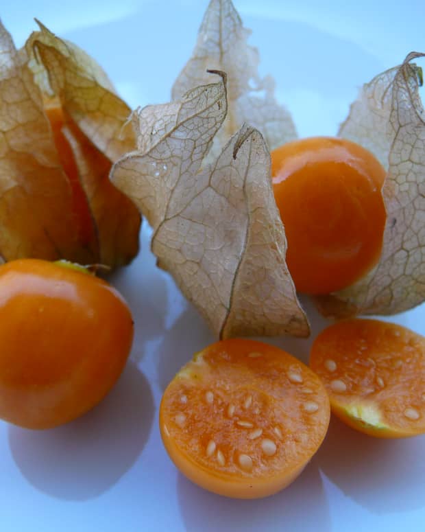 rasbhari-cape-gooseberries-or-golden-berries-nutrition-health-benefits-recipes-and-more