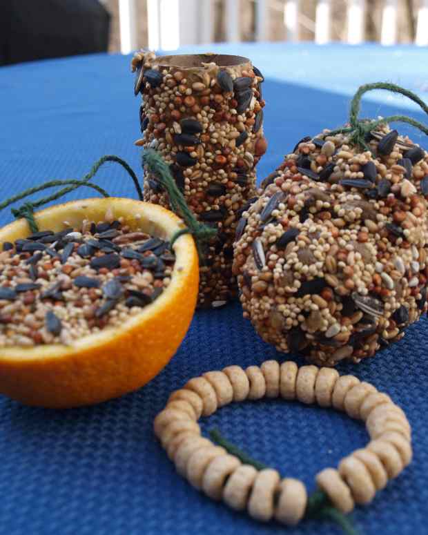 easy-biodegradable-bird-feeders