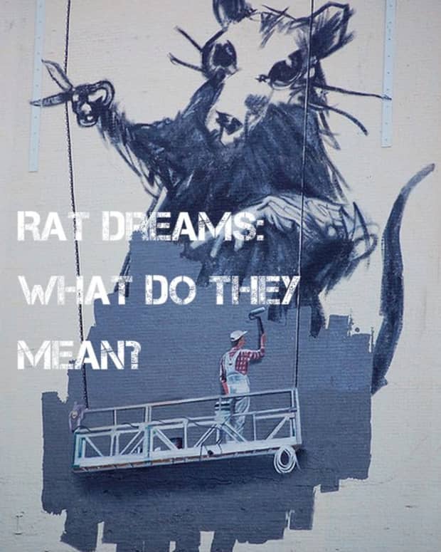 rat-dream-meanings-dreaming-about-rats-rat-dream-interpretations-dream-interpretations