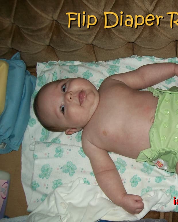 review-flip-hybrid-diapers