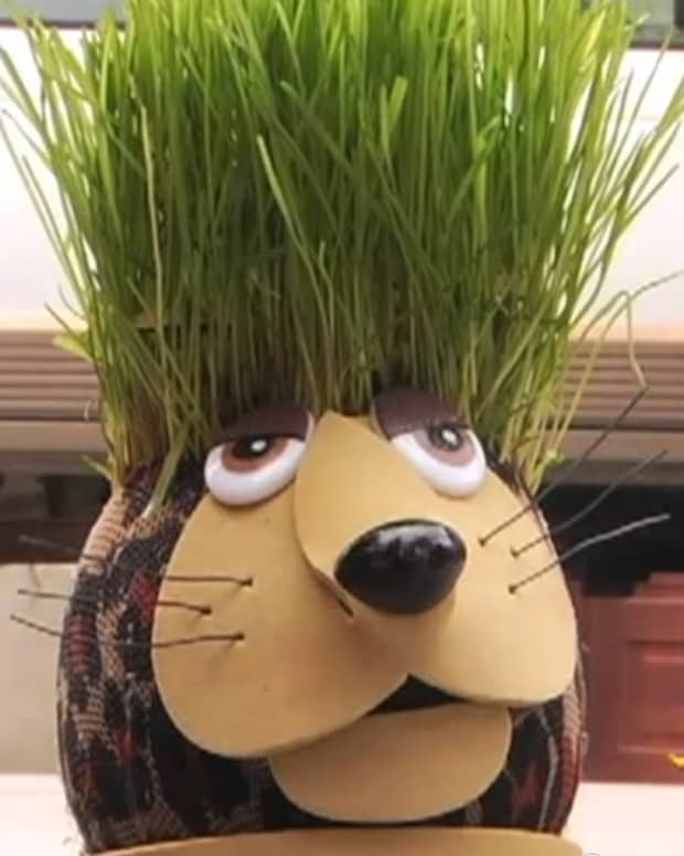how-to-make-a-grass-head-grass-doll-step-by-step