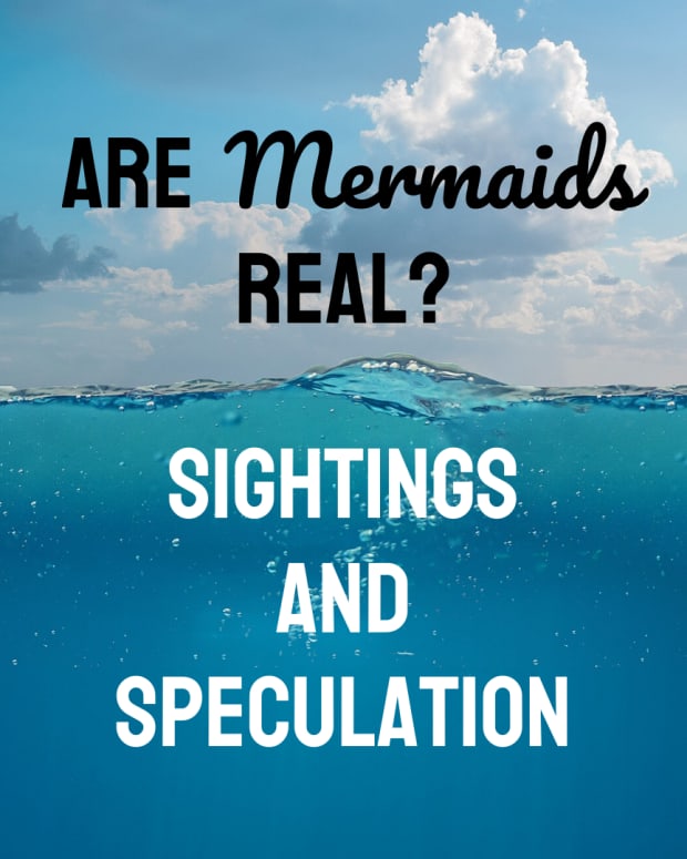 mermaid-sightings-and-stories