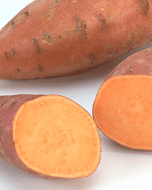 How to Start Your Own Sweet Potato Slips for Growing Sweet
