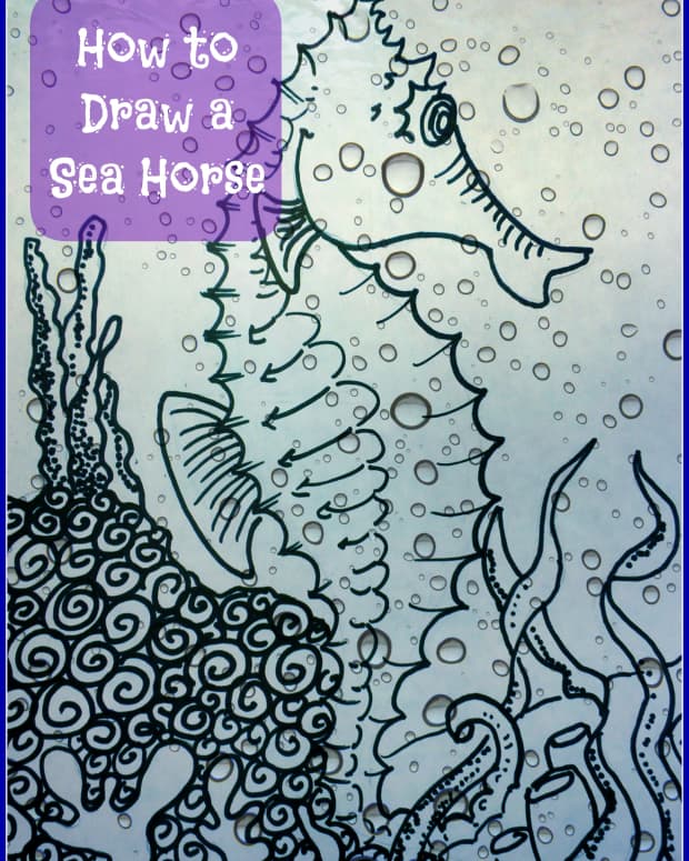 art-lesson-how-to-draw-and-paint-a-sea-horse