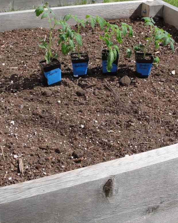 How to Plan a Raised Garden Bed Dengarden