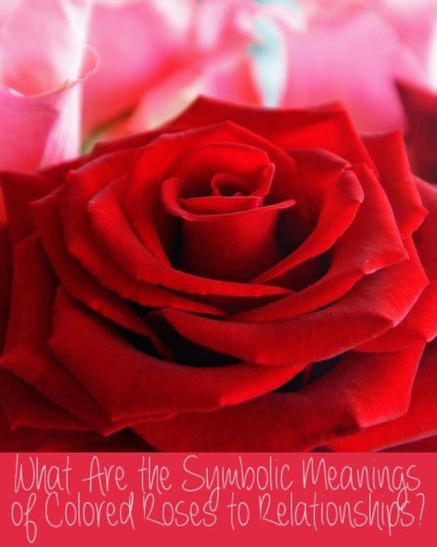 significance-of-flower-colors-to-relationships