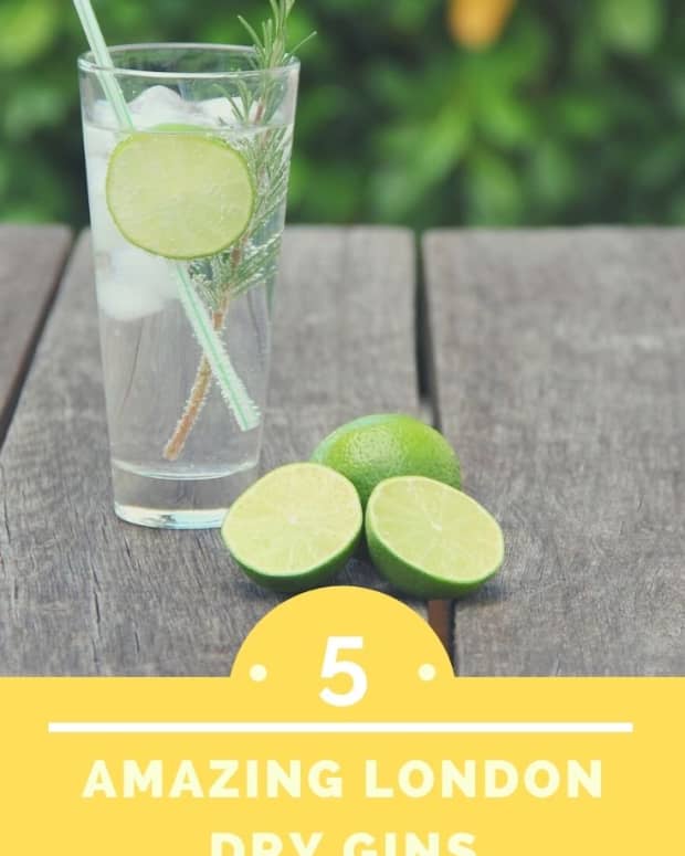 the-5-best-gins-in