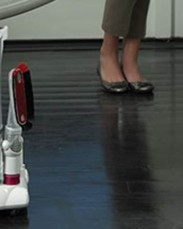 Shark Vacuum Product Review Dengarden