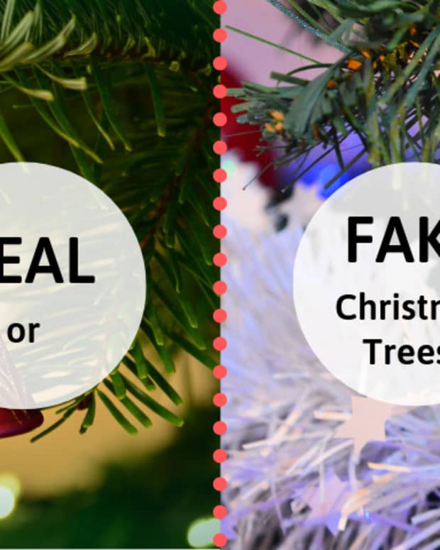 christmas-trees-are-real-or-fake-trees-better