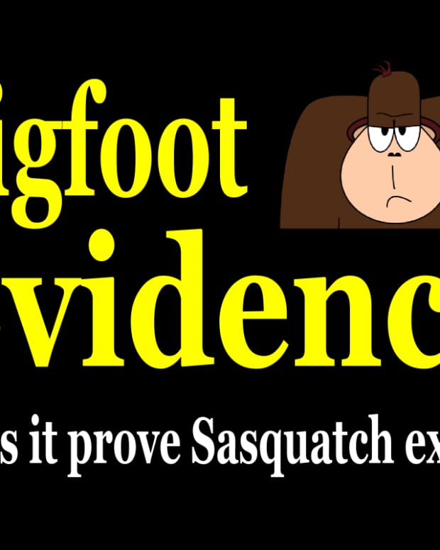 best-bigfoot-evidence-proof-that-bigfoot-is-real