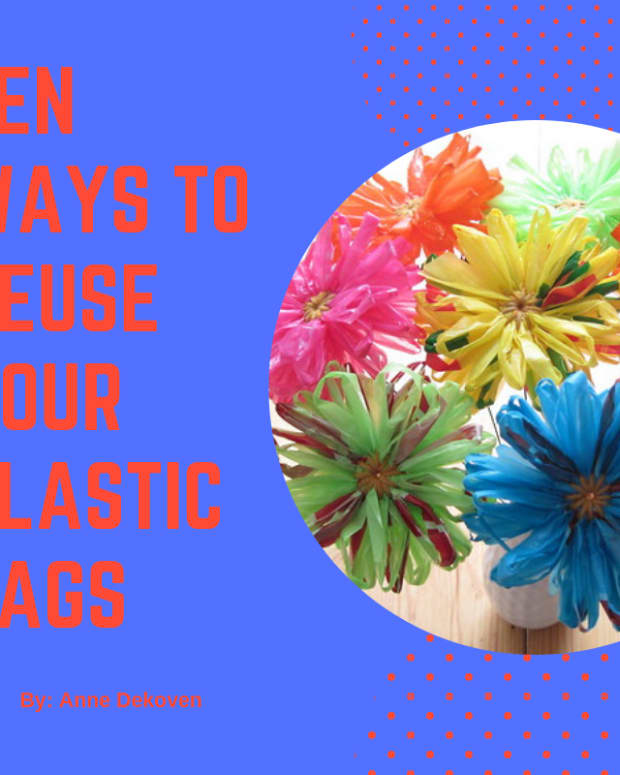 ten-ways-to-reuse-your-plastic-bags