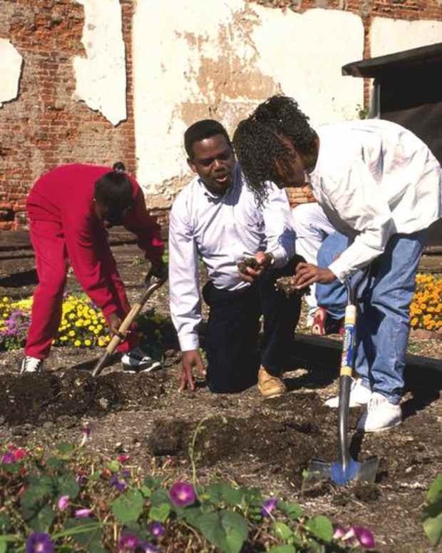 soil-test-what-is-it-why-do-you-need-it