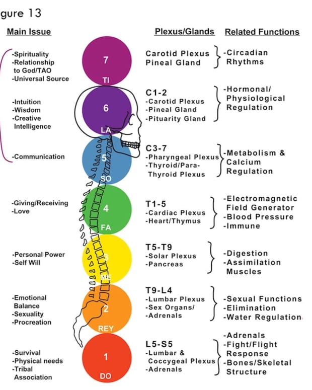 how-chakras-work-and-the-development-of-physical-and-mental-disorders-and-disease