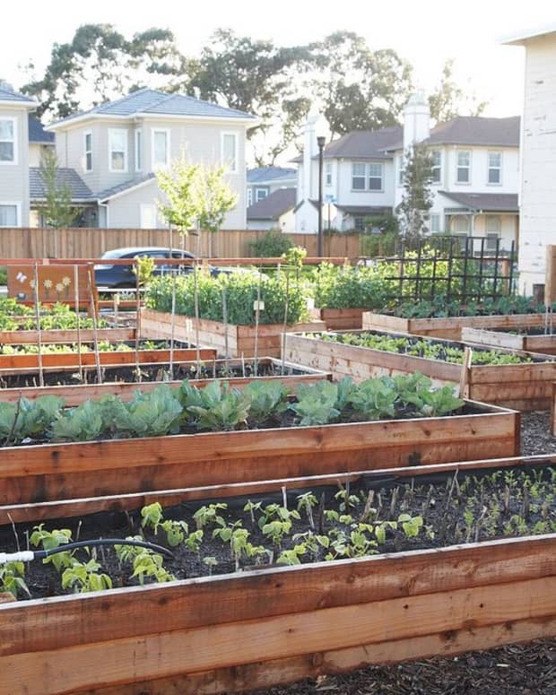 How to Build Cold Frames for a Raised Garden Bed - Dengarden