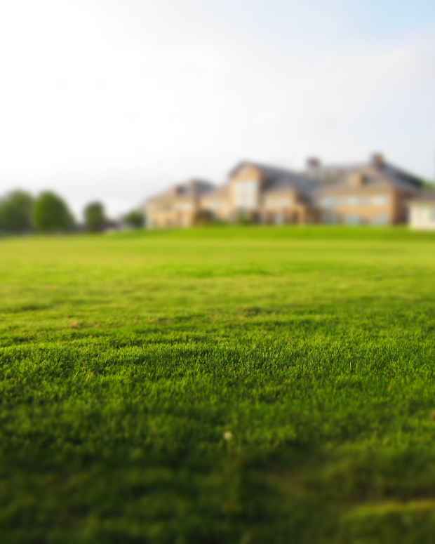 echo-srm-225-gas-powered-trimmer-review