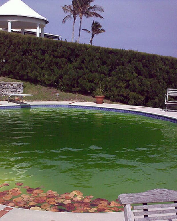 pool is green when opening