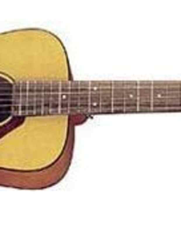 Best Tonewoods for Acoustic Guitars Spinditty