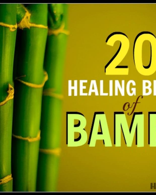 20-healing-benefits-of-bamboo