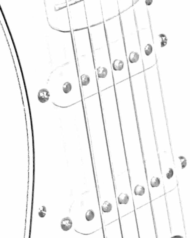 10 Best Acoustic Guitar Accessories for Beginners Spinditty