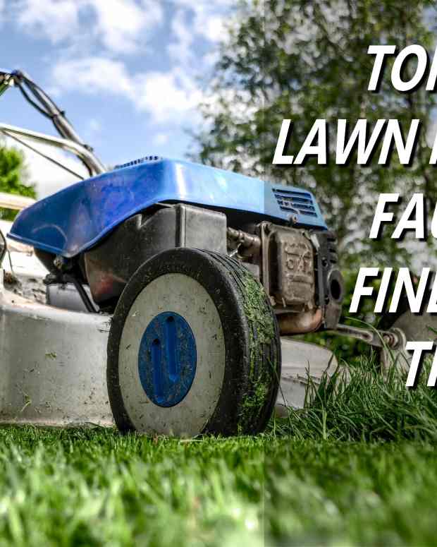 How to Fix a Lawn Mower That Won't Start Dengarden Home and Garden