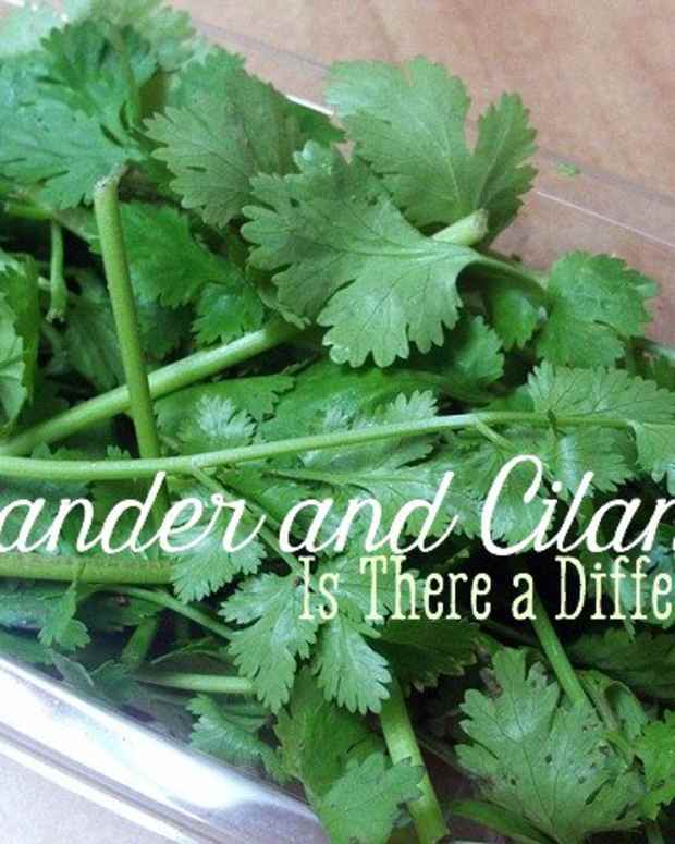 Are Coriander and Cilantro the Same Thing? Delishably