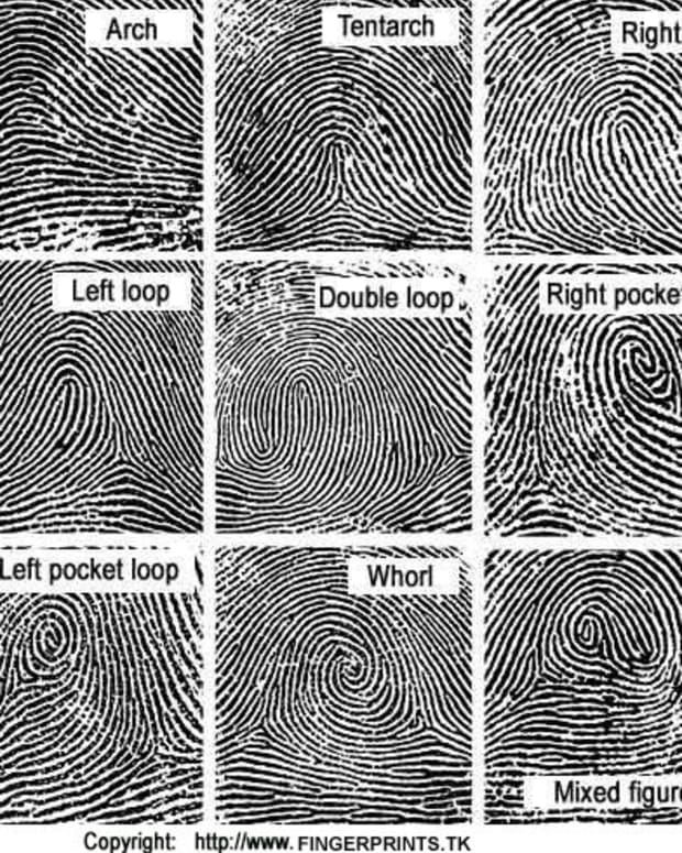 fingerprint_science_project_for_kids