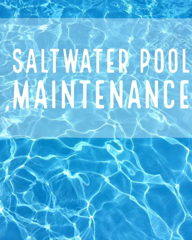 How to Get Rid of Green, Yellow, and Black Pool Algae Dengarden