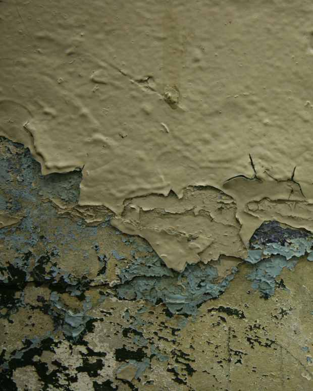 How to Fix Bubbled and Cracked Paint Before Painting Walls Dengarden