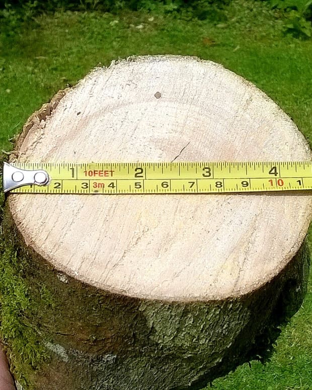 how-to-get-great-exercise-cutting-logs-with-a-bow-saw