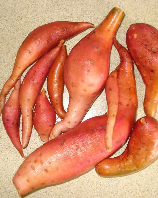 How to Grow Potatoes in Containers (From Trash Cans to Tires) Dengarden