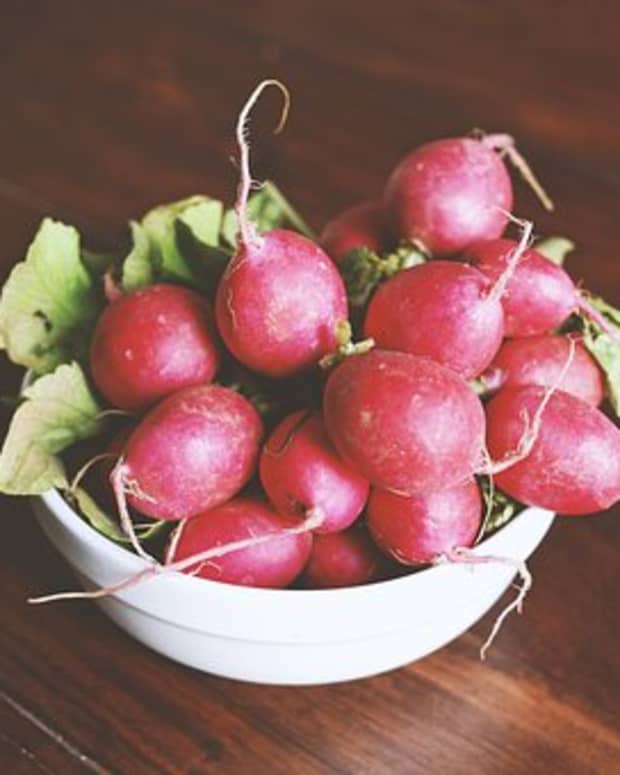 a-guide-to-growing-radishes