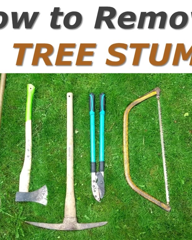 How to Remove Tree Stumps the Most Fun and Easy Way: With a Power ...