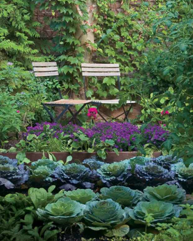 How to Amend RaisedBed Garden Soil Dengarden