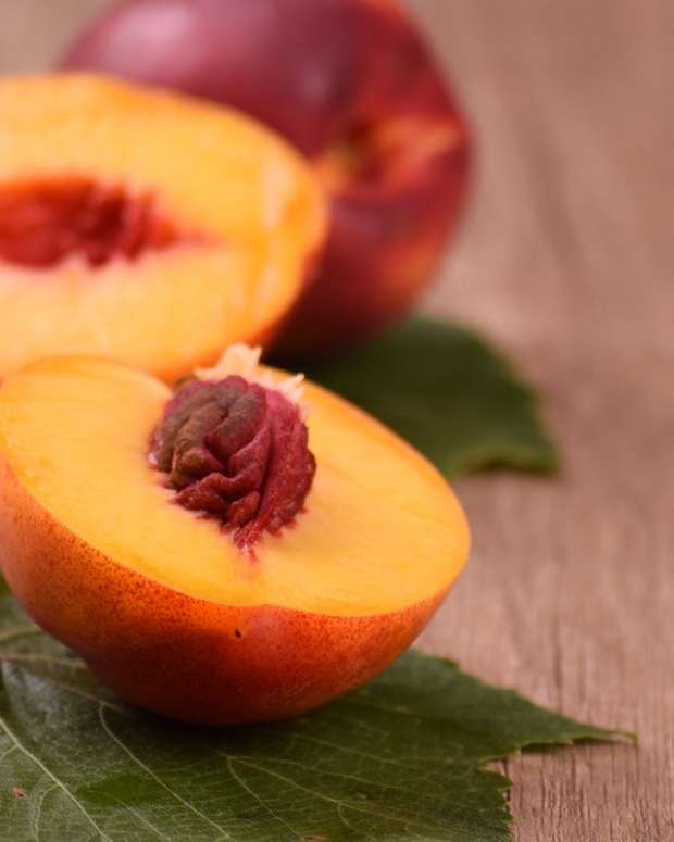 A Gardener's Steps to Planting and Growing Peach Trees in Arizona