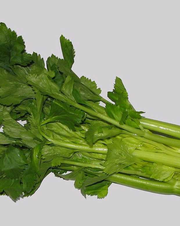 How to Grow Celeriac (Celery Root) Dengarden