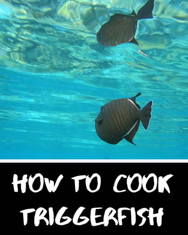 cook-triggerfish-in-foil-on-grill-or-oven-bake-then-clean-up