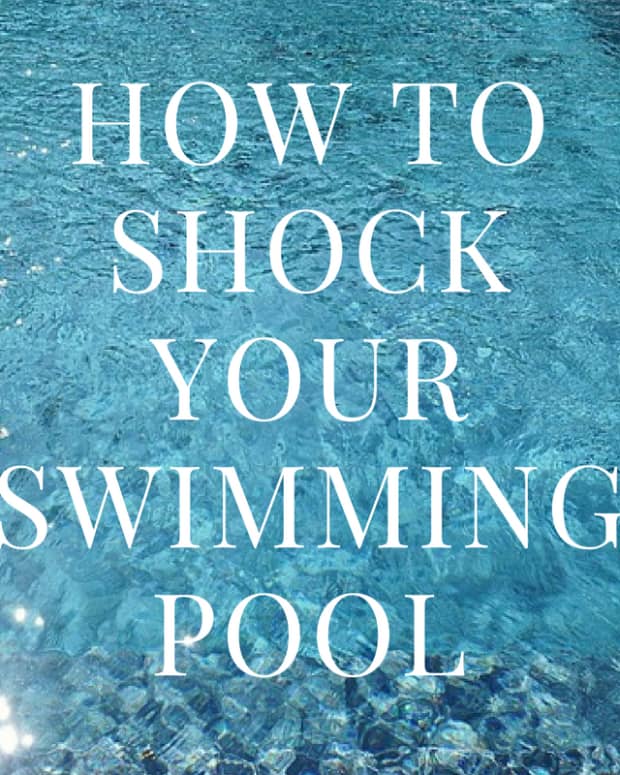 Why Swimming Pools Turn Green Brown Or Black After Adding Chlorine Shock Dengarden Home And Garden