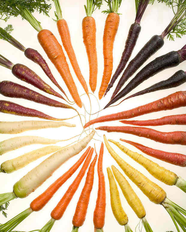 How to Grow Carrots From Seed Dengarden