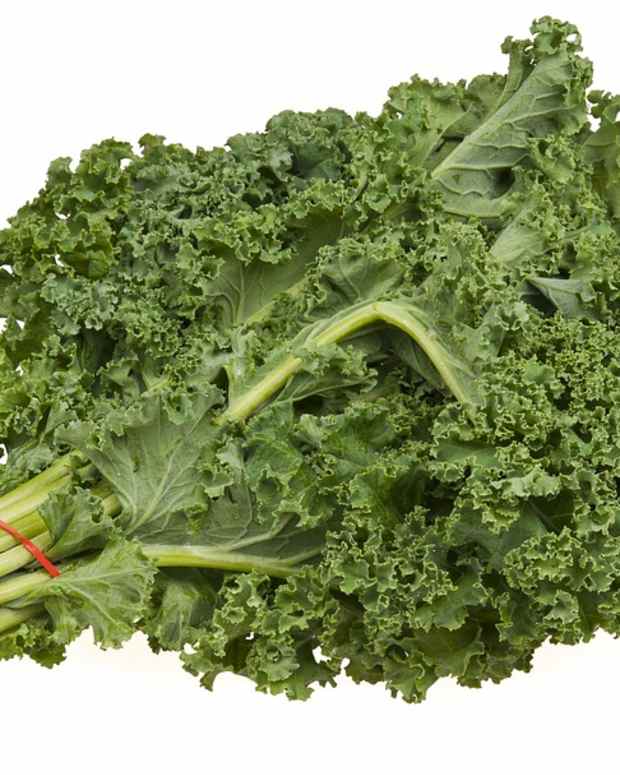 Tips for Growing White Strawberries Dengarden