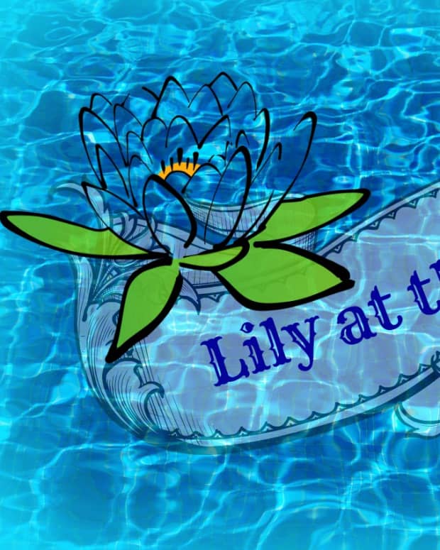 people-almost-met-lily-at-the-pool