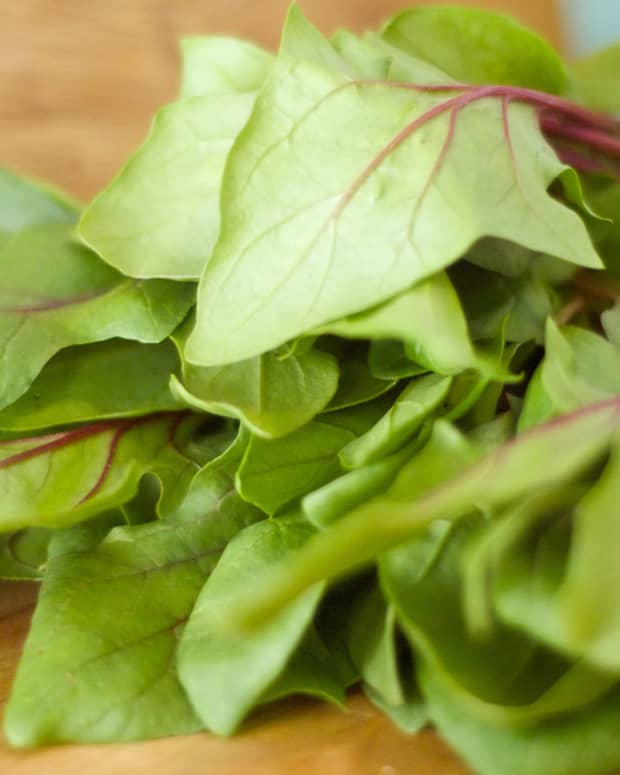 the-health-benefits-of-spinach-for-endurance-athletes