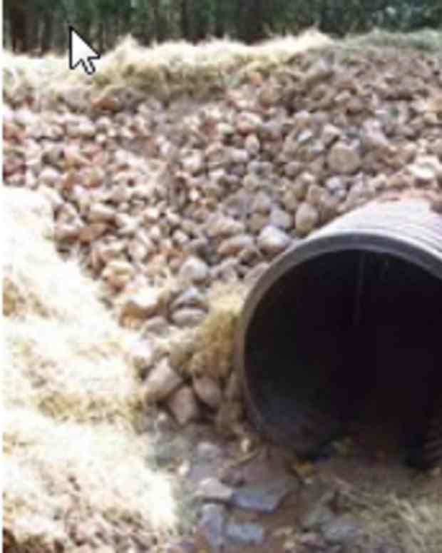 not-so-common-places-i-have-found-gold-a-hub-for-the-curious-prospector