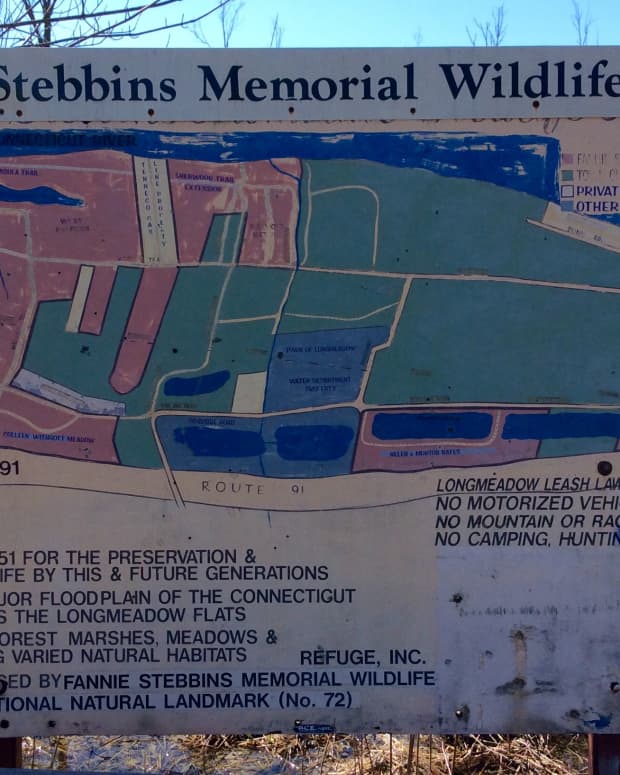 hiking-the-fannie-stebbins-memorial-wildlife-refuge-longmeadow-massachusetts