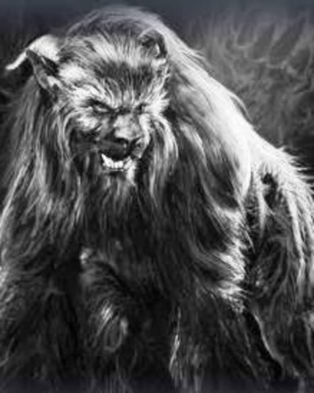 the-ozark-howler-mythical-beast-or-elaborate-hoax