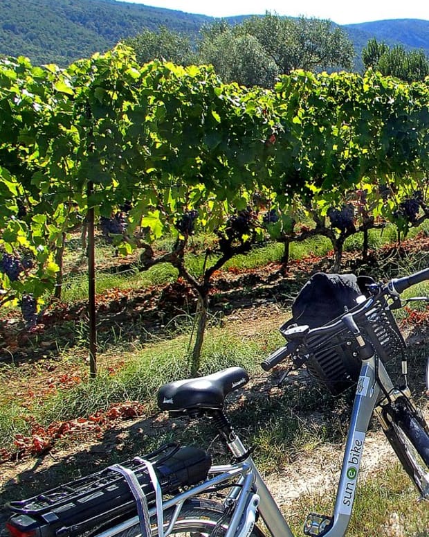 southern-france-biking-the-provence-sountryside