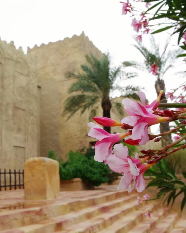 beautiful-world-10-attractions-of-bahrain-for-nature-lovers