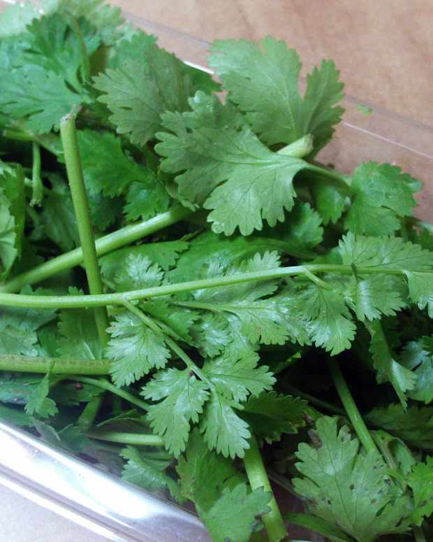 Coriander and Cilantro What's the Difference? Delishably
